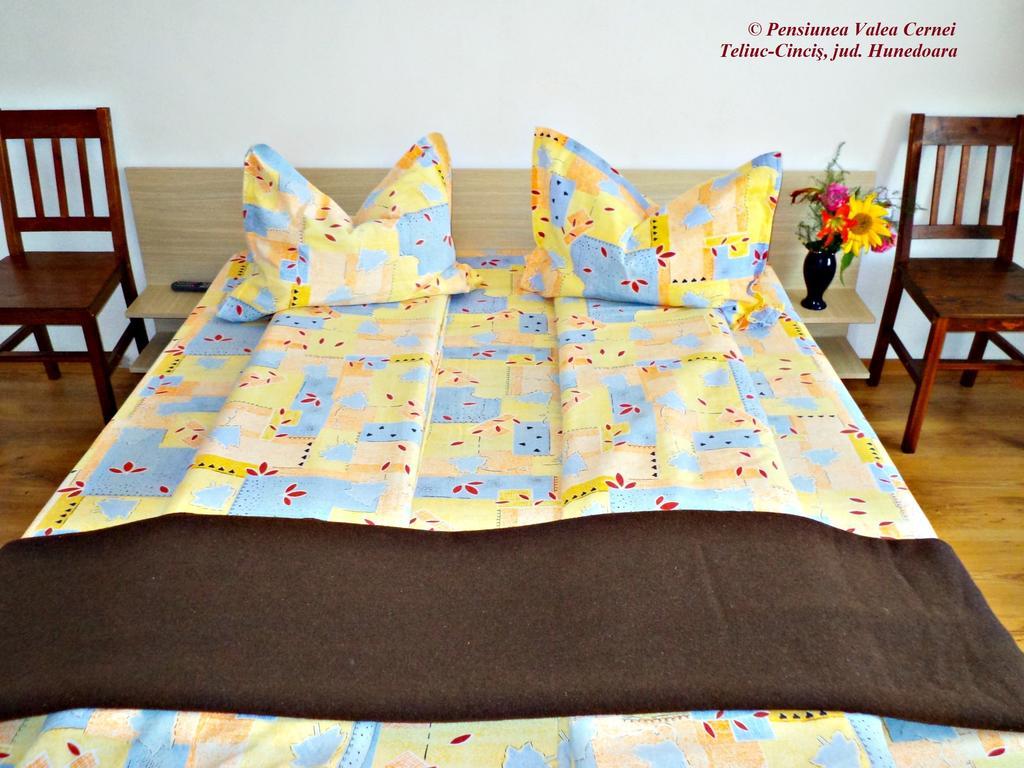 Pensiunea Valea Cernei Teliucu Inferior Kamer foto