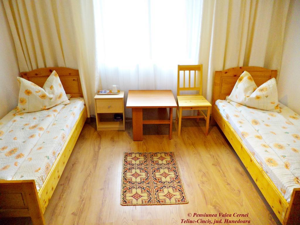 Pensiunea Valea Cernei Teliucu Inferior Kamer foto