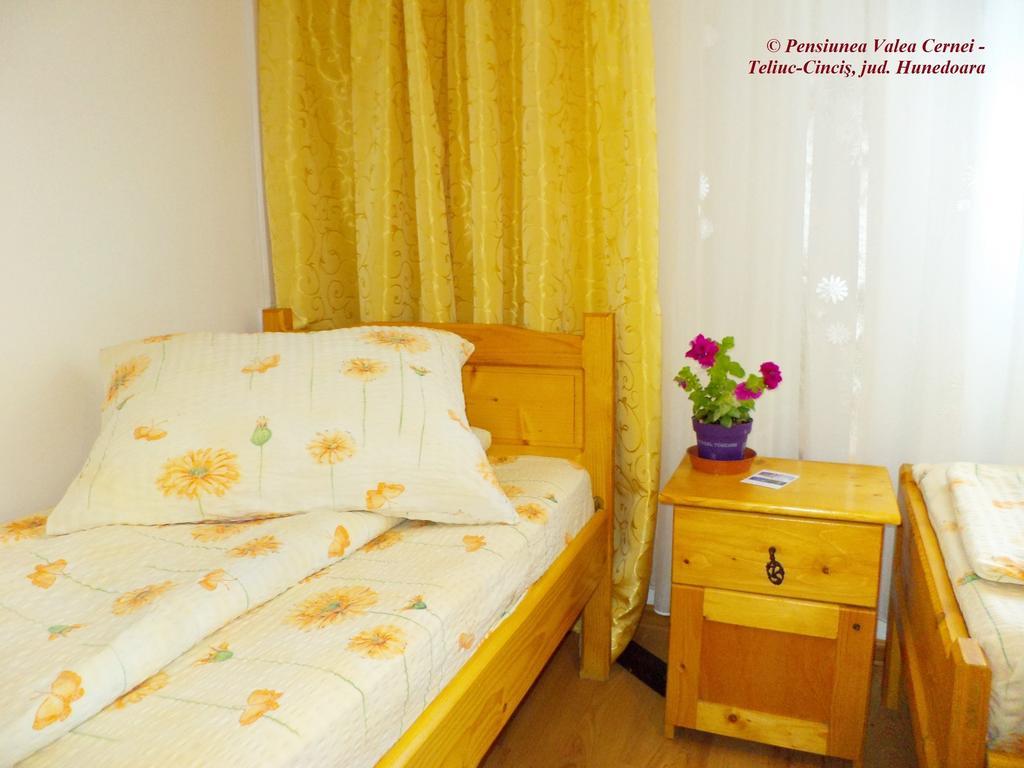 Pensiunea Valea Cernei Teliucu Inferior Kamer foto