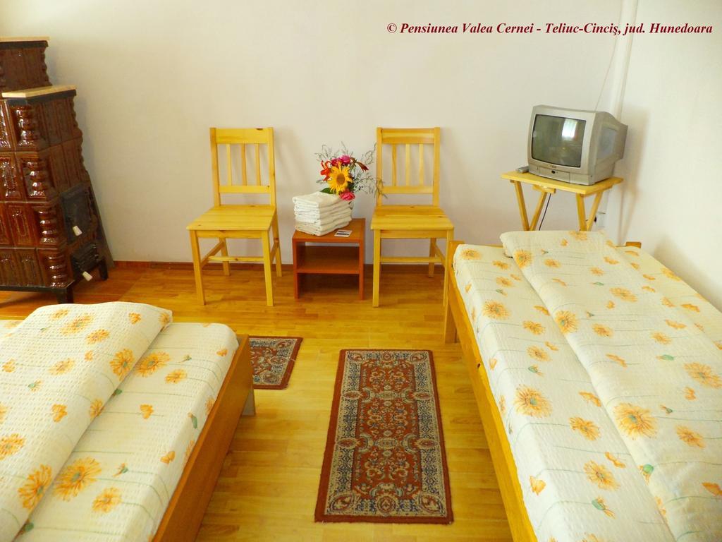 Pensiunea Valea Cernei Teliucu Inferior Kamer foto
