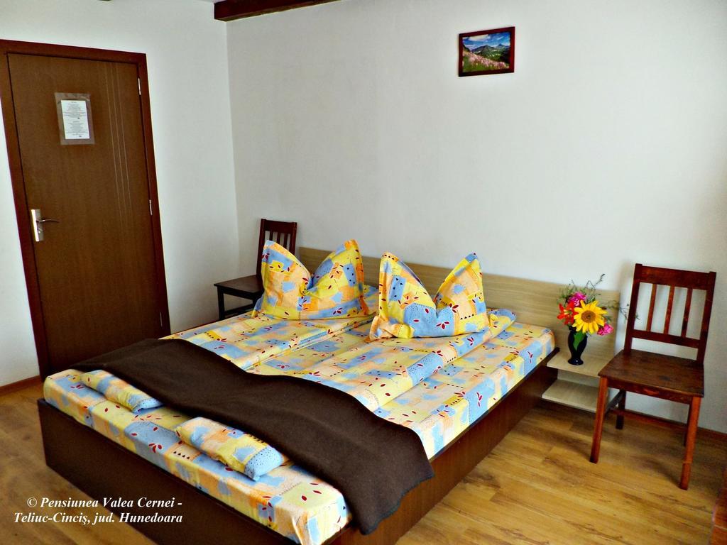 Pensiunea Valea Cernei Teliucu Inferior Kamer foto