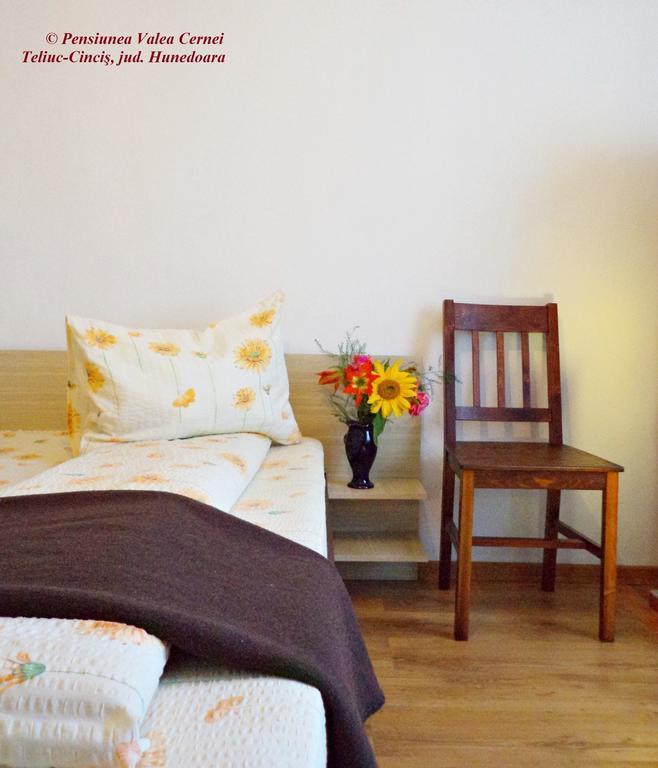 Pensiunea Valea Cernei Teliucu Inferior Kamer foto