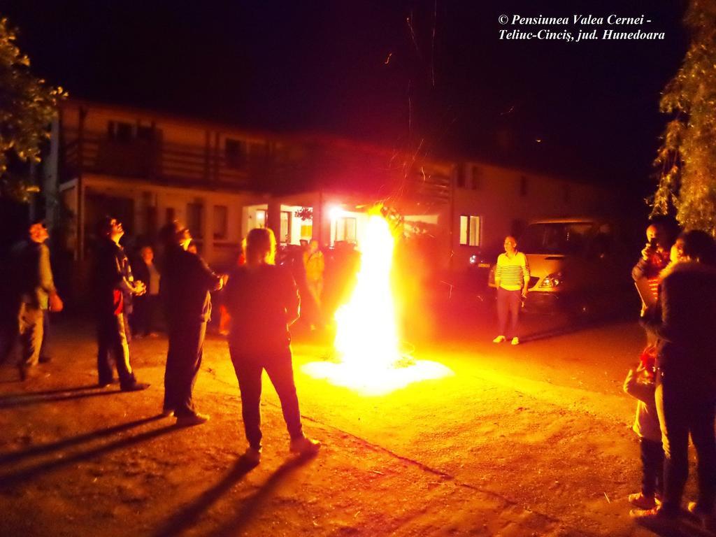 Pensiunea Valea Cernei Teliucu Inferior Buitenkant foto