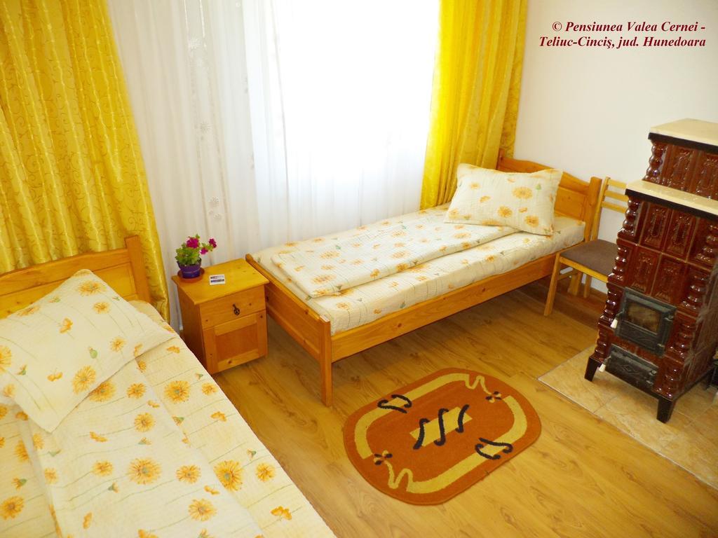 Pensiunea Valea Cernei Teliucu Inferior Kamer foto