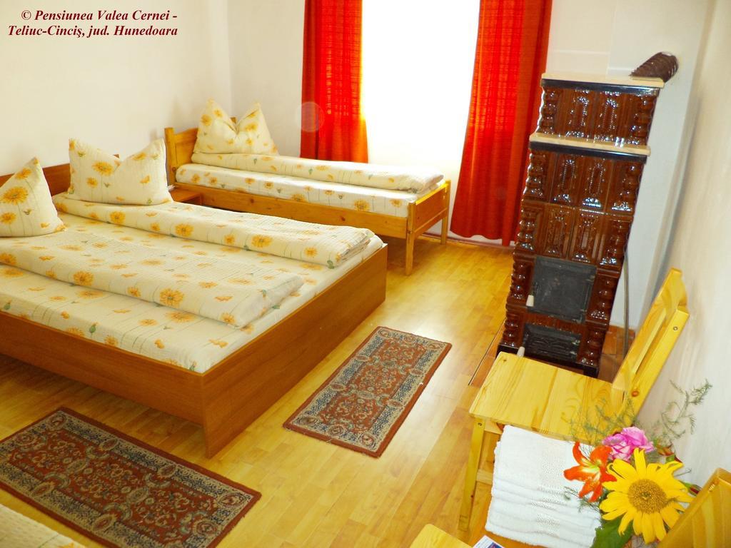 Pensiunea Valea Cernei Teliucu Inferior Kamer foto