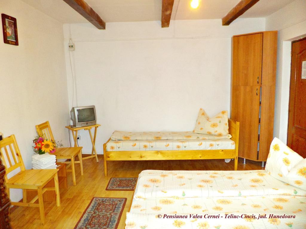 Pensiunea Valea Cernei Teliucu Inferior Kamer foto
