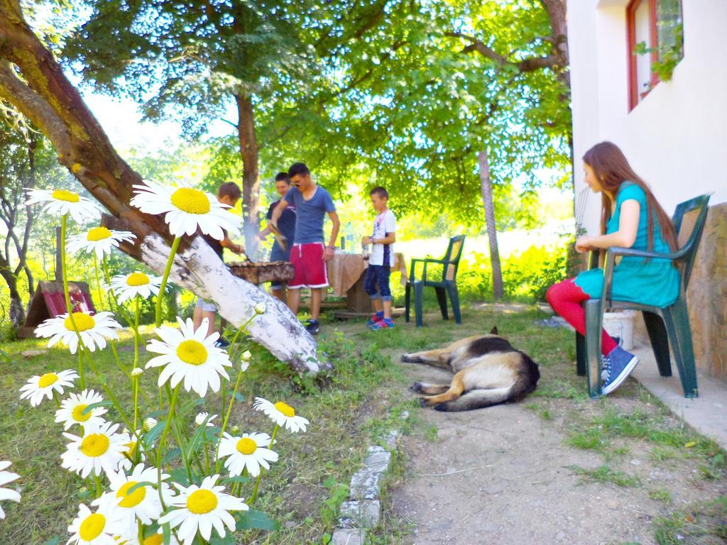 Pensiunea Valea Cernei Teliucu Inferior Buitenkant foto