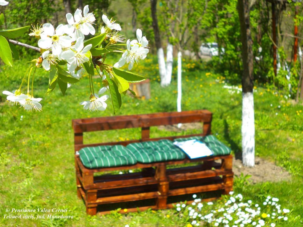 Pensiunea Valea Cernei Teliucu Inferior Buitenkant foto