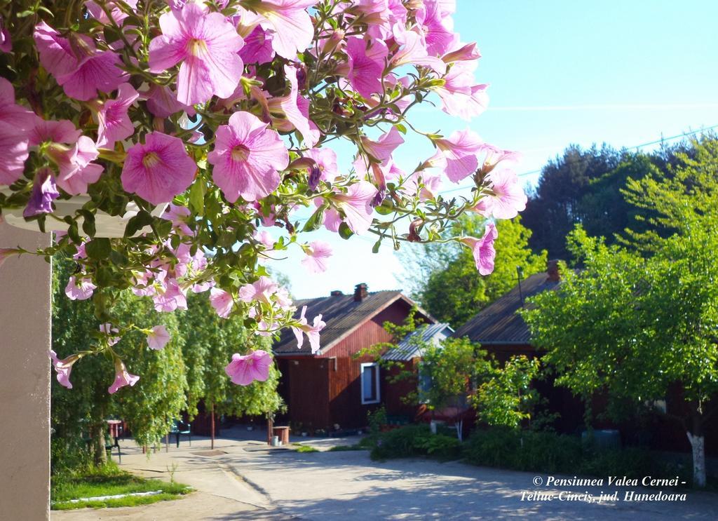 Pensiunea Valea Cernei Teliucu Inferior Buitenkant foto