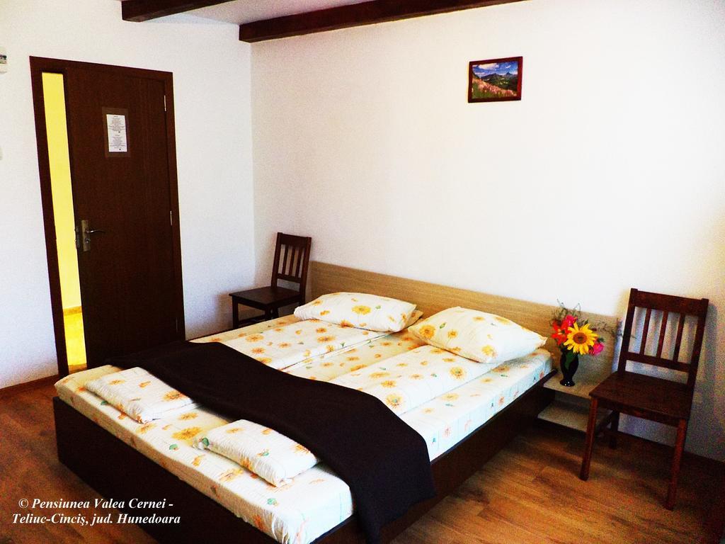 Pensiunea Valea Cernei Teliucu Inferior Kamer foto