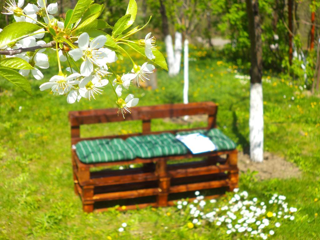 Pensiunea Valea Cernei Teliucu Inferior Buitenkant foto