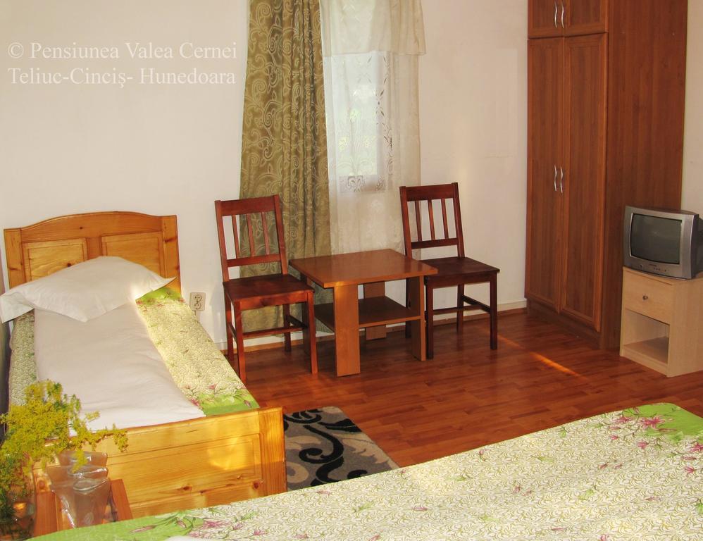 Pensiunea Valea Cernei Teliucu Inferior Buitenkant foto